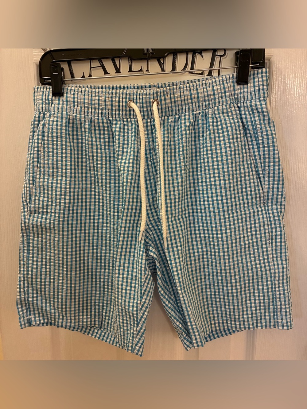 J. Crew Turquoise and White Gingham Swim Board Shorts